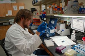 Kyle Koopmeiners, a student lab leader at InnovaBio, tests a synthetic version of human brain-derived neurotrophic factor for a client of the non-profit commercial research organization operated by the biotechnology department of Salt Lake Community College.