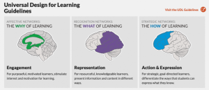 UDL Guidelines Associate Image